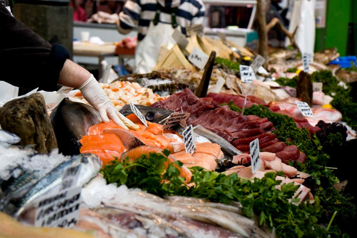 A fish merchant's stall in an indoor market.