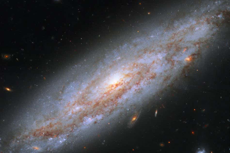 This enchanting spiral galaxy can be found in the constellation of Ursa Major (the Great Bear). Star-studded NGC 3972 lies about 65 million light-years away from Earth, meaning that the light that we see now left it 65 million years ago, just when the dinosaurs became extinct. NGC 3972 has had its fair share of dramatic events. In 2011 astronomers observed the explosion of a Type Ia supernova in the galaxy (not visible in this image). These dazzling objects all peak at the same brightness, and are brilliant enough to be seen over large distances. NGC 3972 also contains many pulsating stars called Cepheid variables. These stars change their brightness at a rate matched closely to their intrinsic luminosity, making them ideal cosmic lighthouses for measuring accurate distances to relatively nearby galaxies. Astronomers search for Cepheid variables in nearby galaxies that also contain a Type Ia supernova so they can compare the true brightness of both types of stars. That brightness information is used to calibrate the luminosity of Type Ia supernovae in far-flung galaxies so that astronomers can calculate the galaxies' distances from Earth. Once astronomers know accurate distances to galaxies near and far, they can determine and refine the expansion rate of the universe. This image was taken in 2015 with Hubble's Wide Field Camera 3, as part of a project to improve the precision of the Hubble constant ? a figure that describes the expansion rate of the universe. Text: European Space Agency